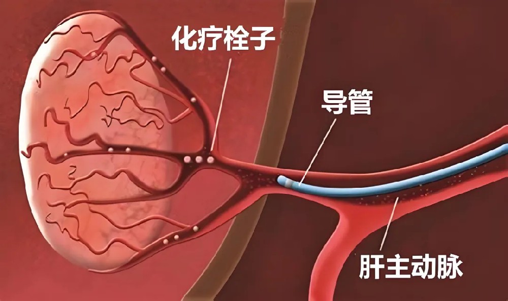 10 critical points from epic security manifesto inability