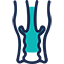 陰道癌